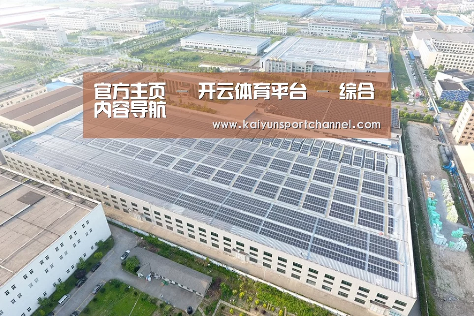 案例展示二