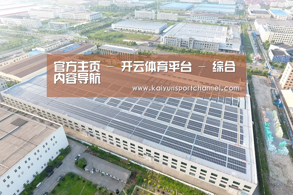 案例展示一