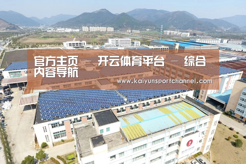 案例展示一