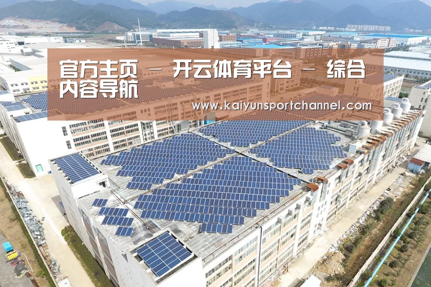 案例展示一