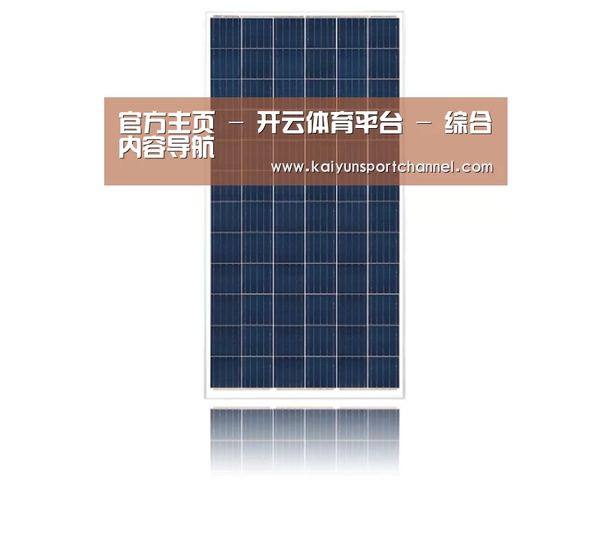 产品名称一