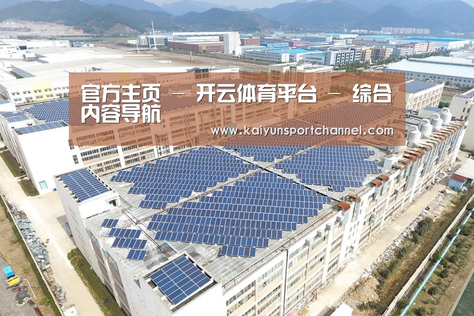 案例展示二