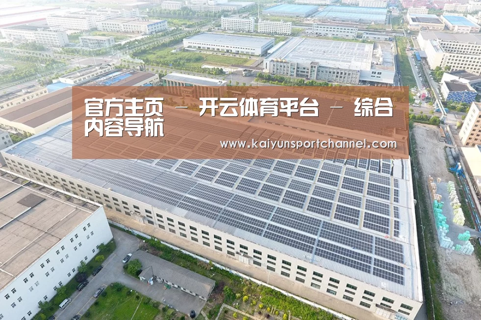 案例展示二
