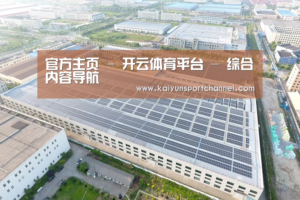 案例展示三