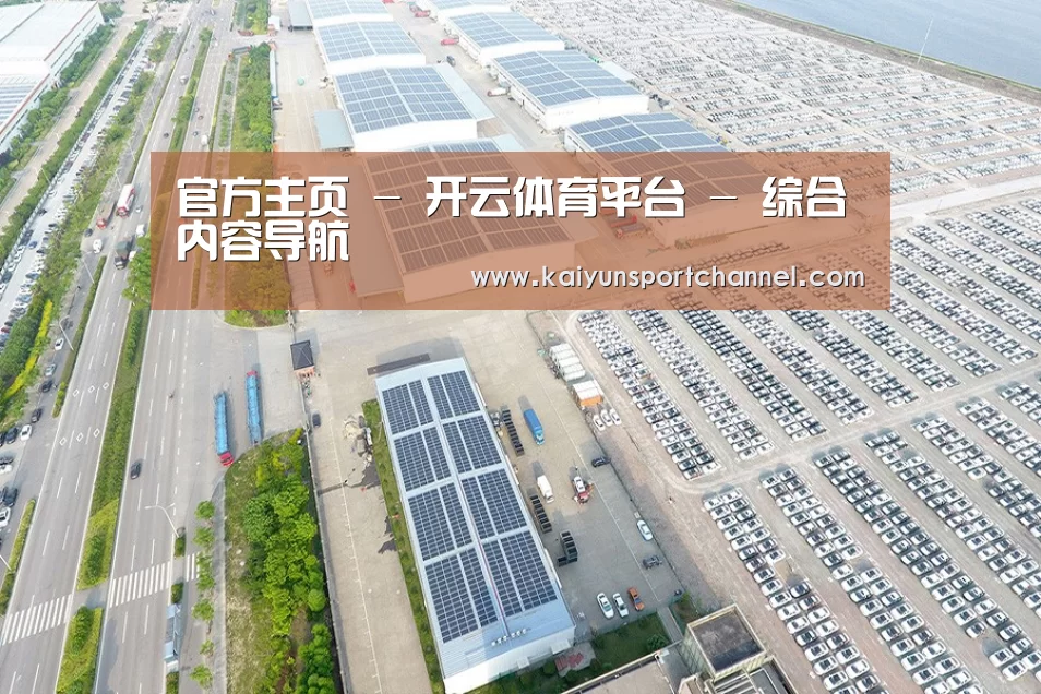 案例展示四