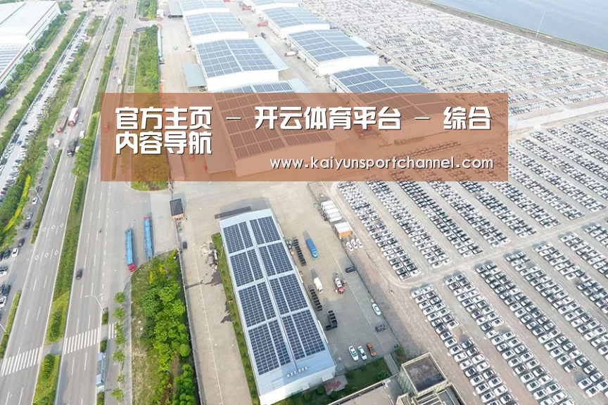 案例展示二